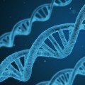 Biology Tutoring in London: Your Ultimate Guide