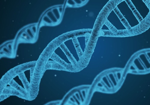 Biology Tutoring in London: Your Ultimate Guide